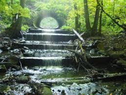 Wysoczyzna Elbląska